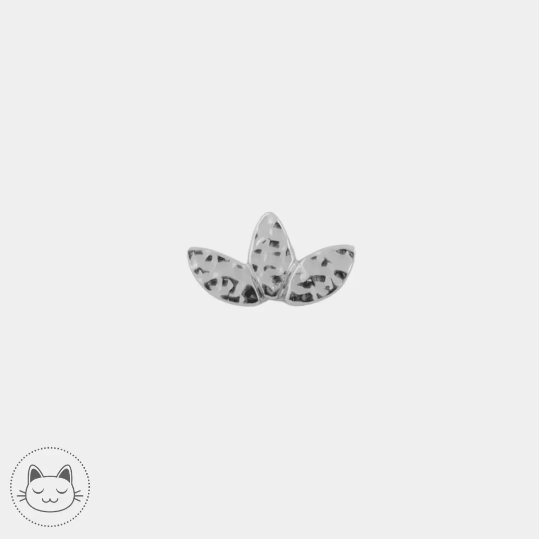 BVLA - Hammered Marquise - - Kawaii Place piercing