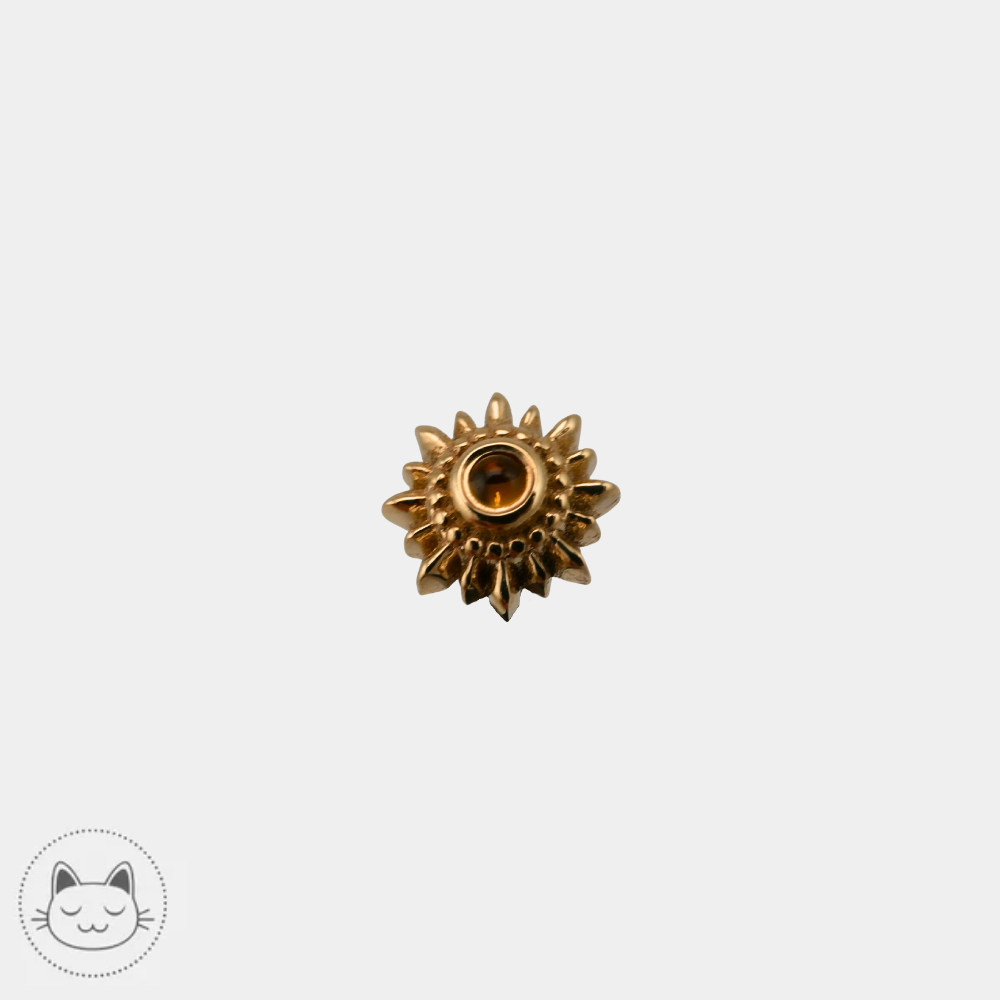 Bijou BVLA Mini Compas en or 14 carats avec citrine 6 mm