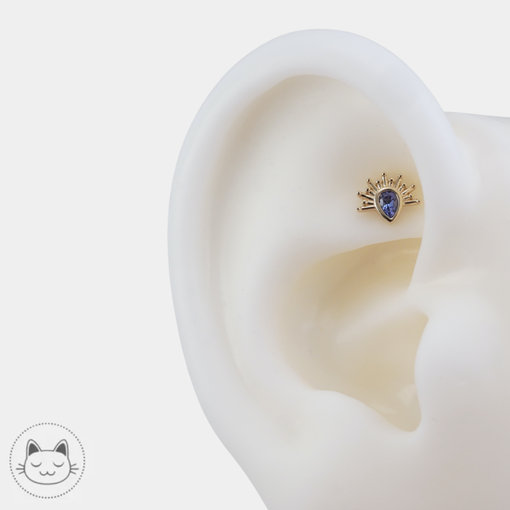 BVLA Threaded end with tiny borderline pour piercing oreille