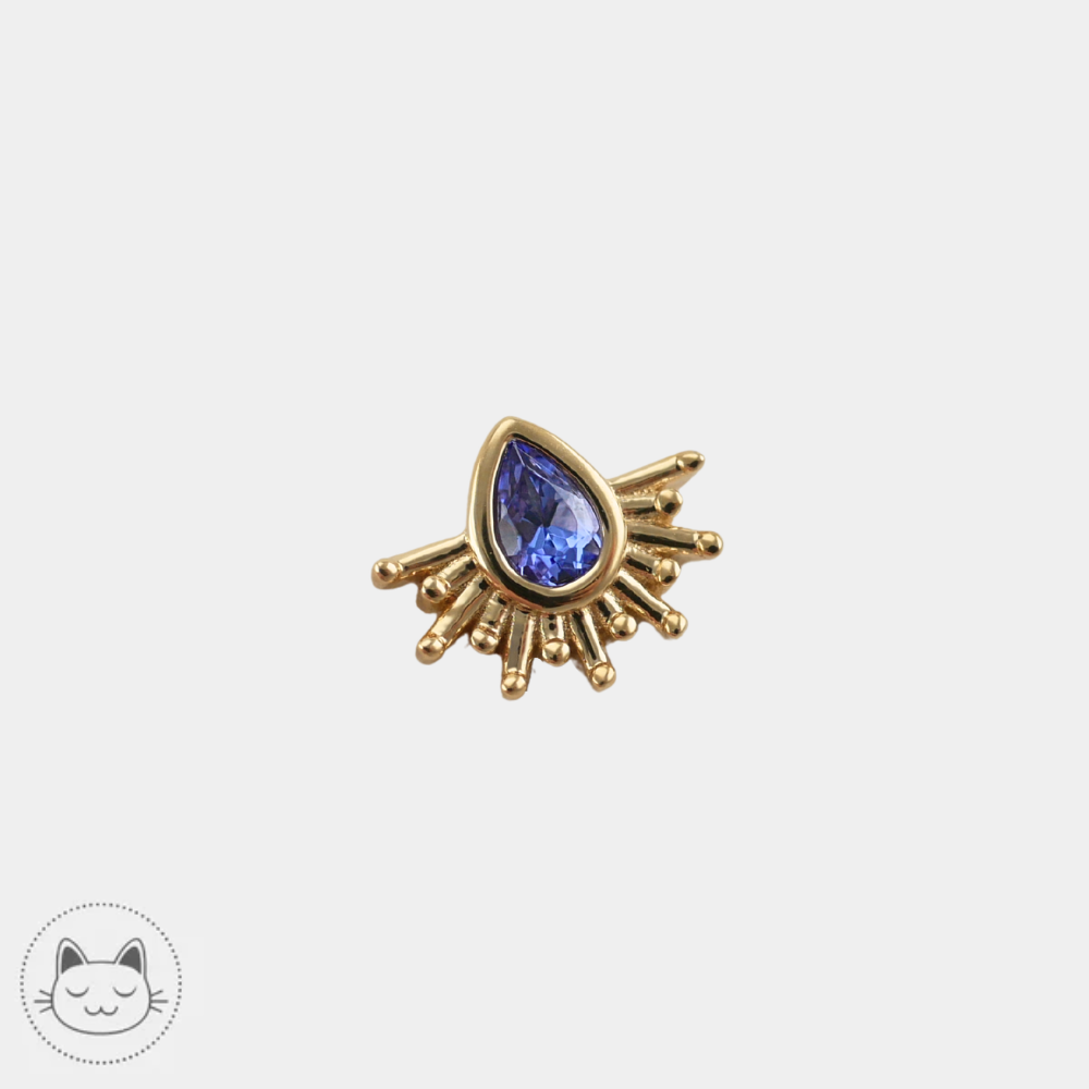 Bijou piercing BVLA Threaded end with tiny borderline en or jaune 14K
