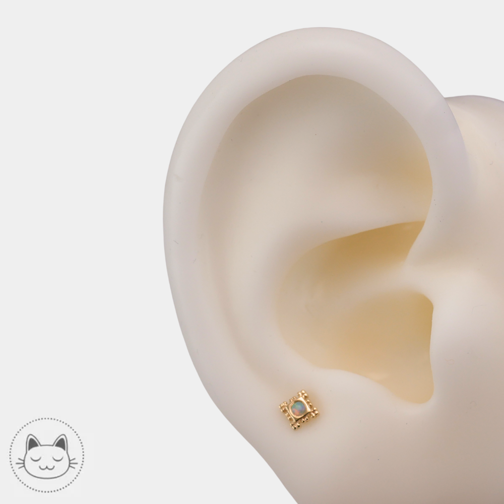 Bijou opale AAA BVLA pour conch et lobe