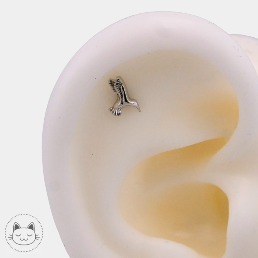 Piercing BVLA Humming Bird orientation droite