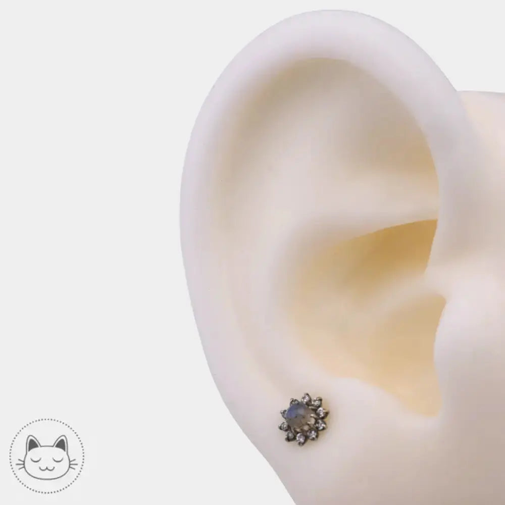 Bijou Auris labradorite zircons blancs
