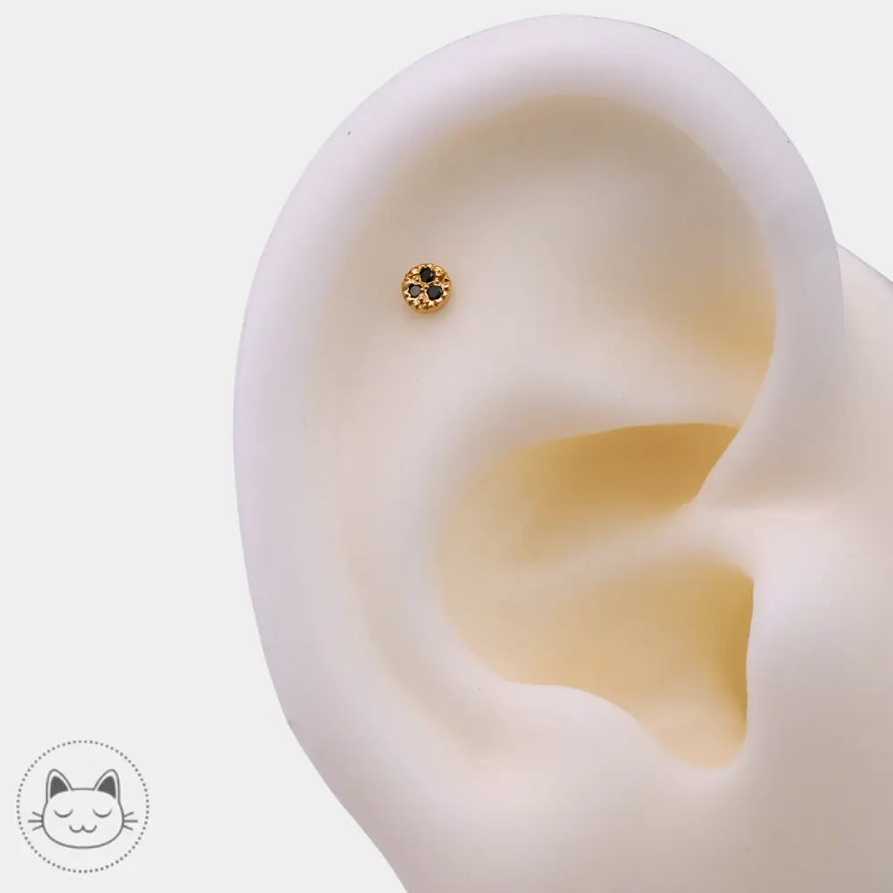 Pave Circle BVLA diamant noir pour piercing