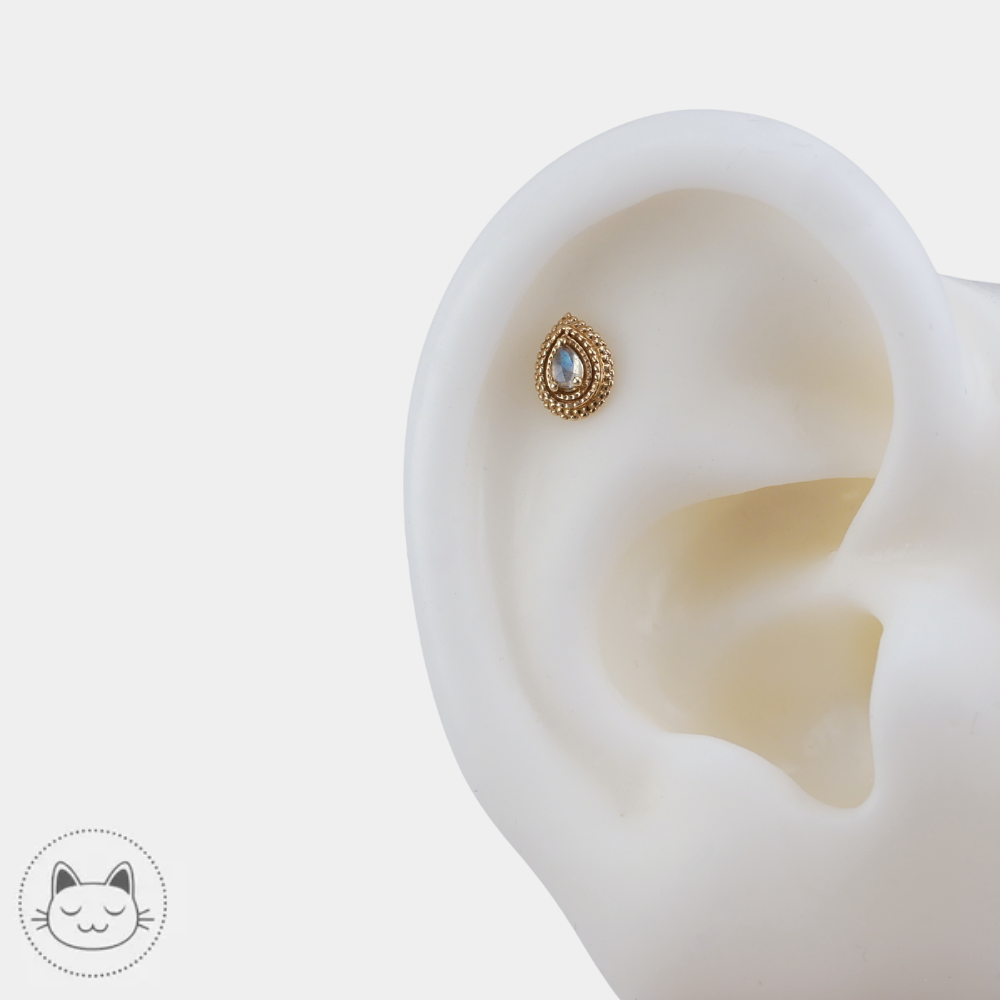 BVLA Mini Afghan Pear or jaune 14K pour helix conch et lobe