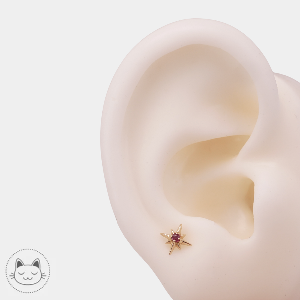 Bijou Sacred Symbols D8 en or 14K avec pierre précieuse rubis