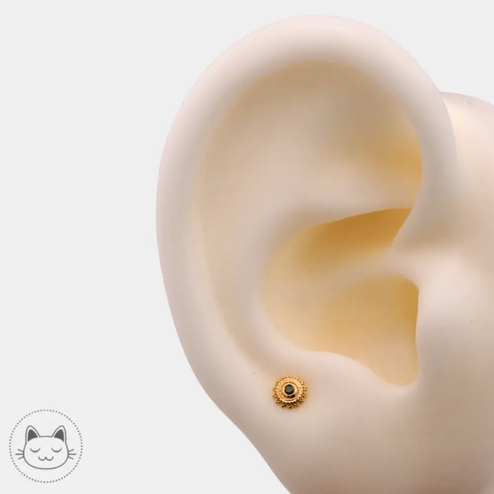 Bijou de piercing BVLA Afghan or 14 carats serti d’un onyx 4 mm