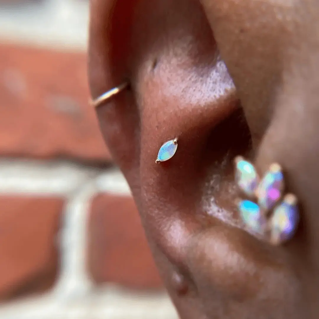 Buddha Jewelry - Zuri - Opale - Kawaii Place piercing