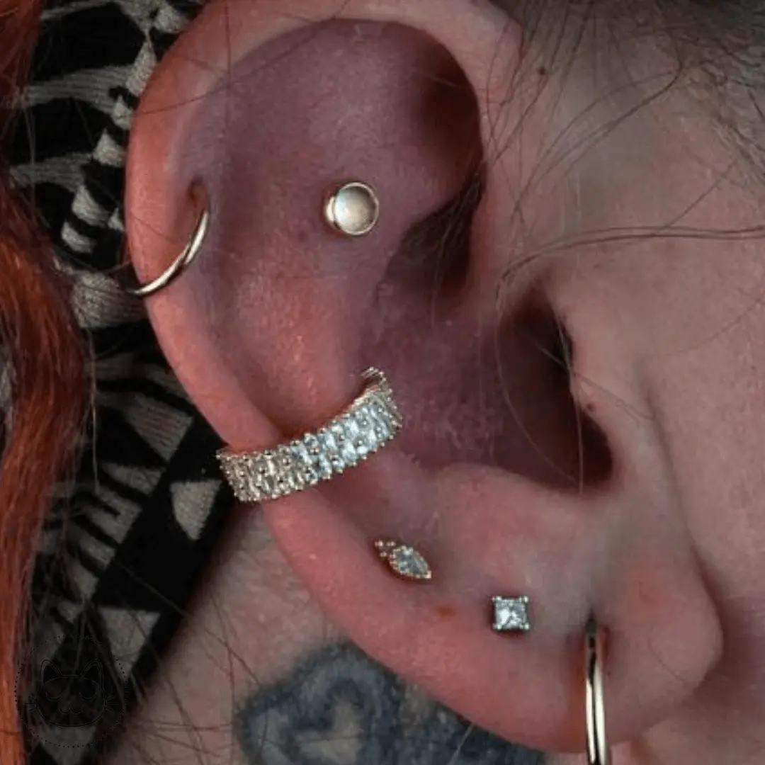 Buddha Jewelry - Brillant Clicker- Or jaune et Zircons blanc - Kawaii Place piercing