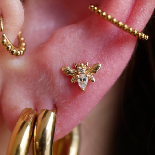 Bee Chic Buddha Jewelry en or 14 carats pour tragus, lobe et hélix