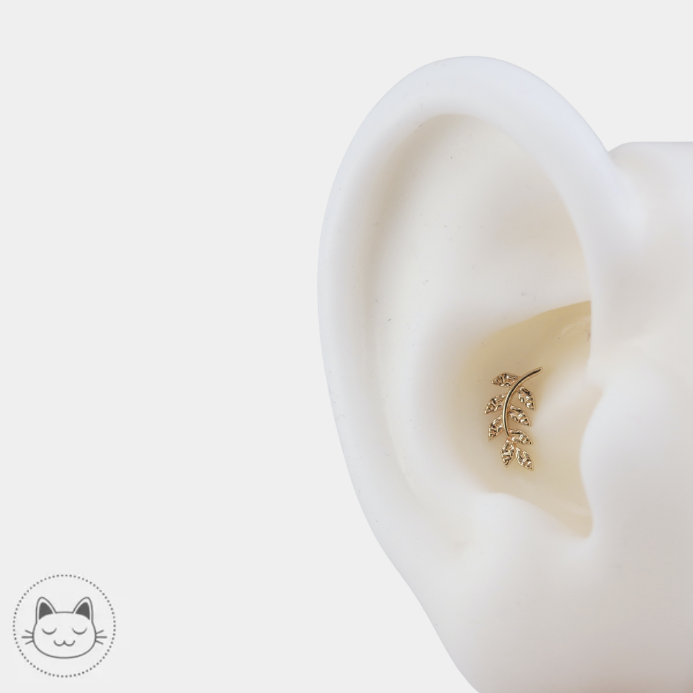 Détail du bijou de piercing Buddha Jewelry Thriving en or jaune 14K
