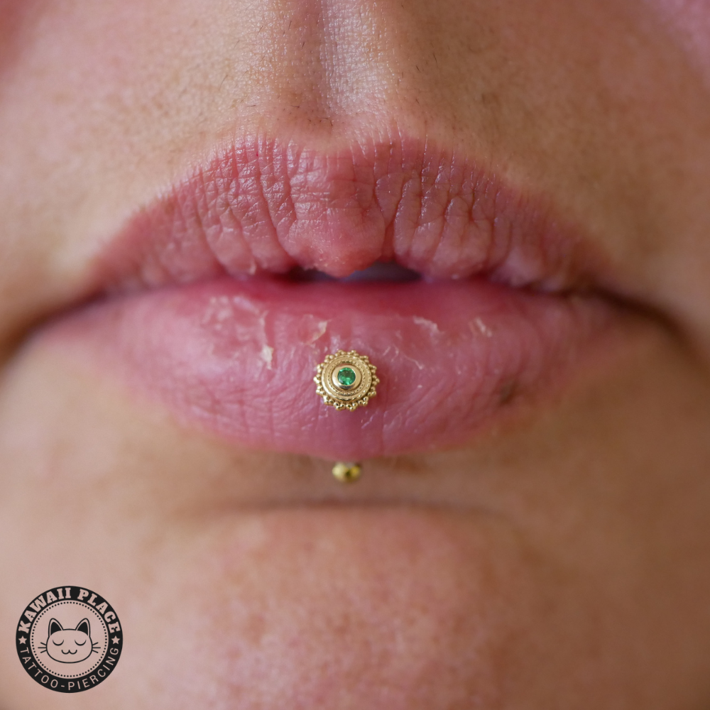 BVLA - Afghan - Chrysoprase