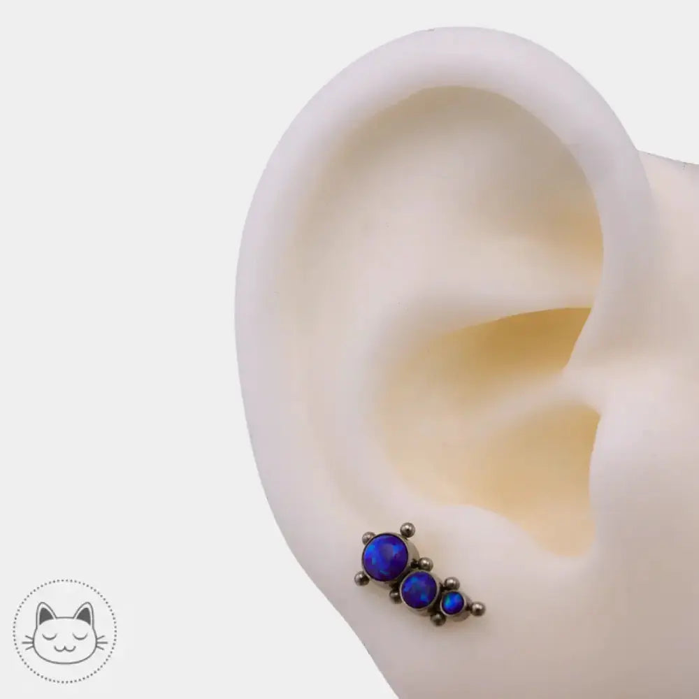 Embout titane ASTM F136 LeRoi opale bleue