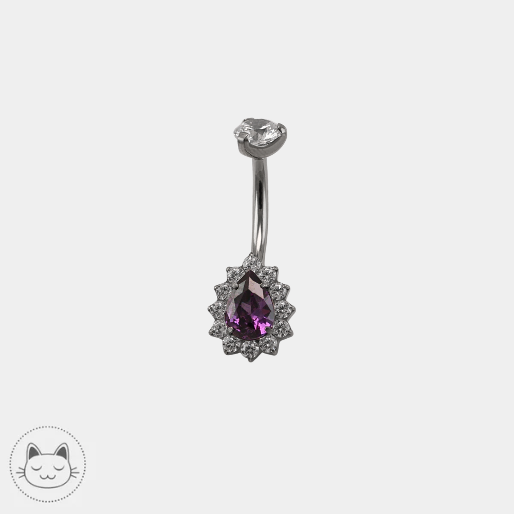 Bijou de nombril Invictus en titane ASTM F136 avec zircon violet et zircons blancs