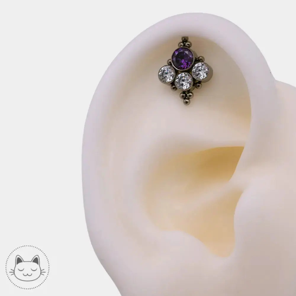 LeRoi titane zircon pour hélix conch lobe