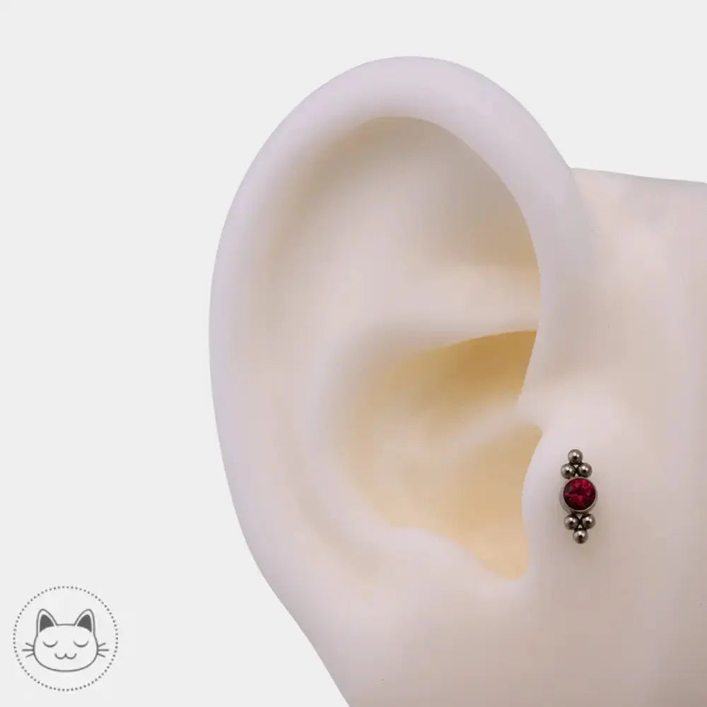 Embout tragus titane ASTM F136 zircon rouge