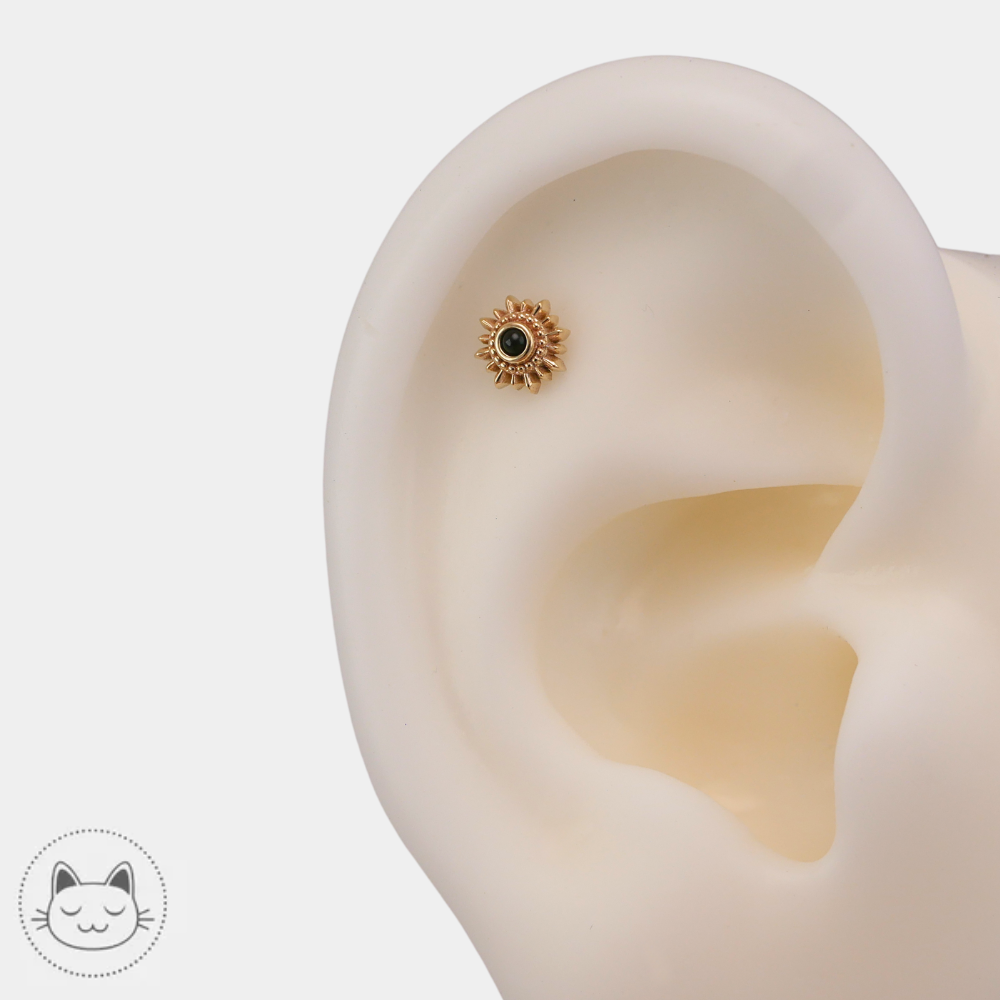 Piercing BVLA Mini Compass pour medusa et nostril