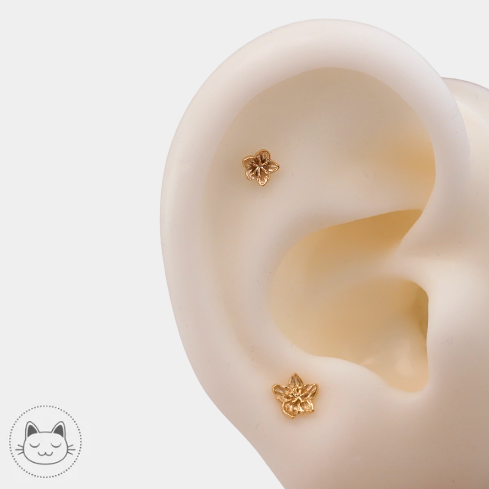 Bijou NAGA Flower en or jaune 14 carats pour hélix et lobe