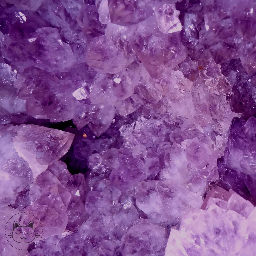 Naga - Plug - Améthyste - Kawaii Place piercing