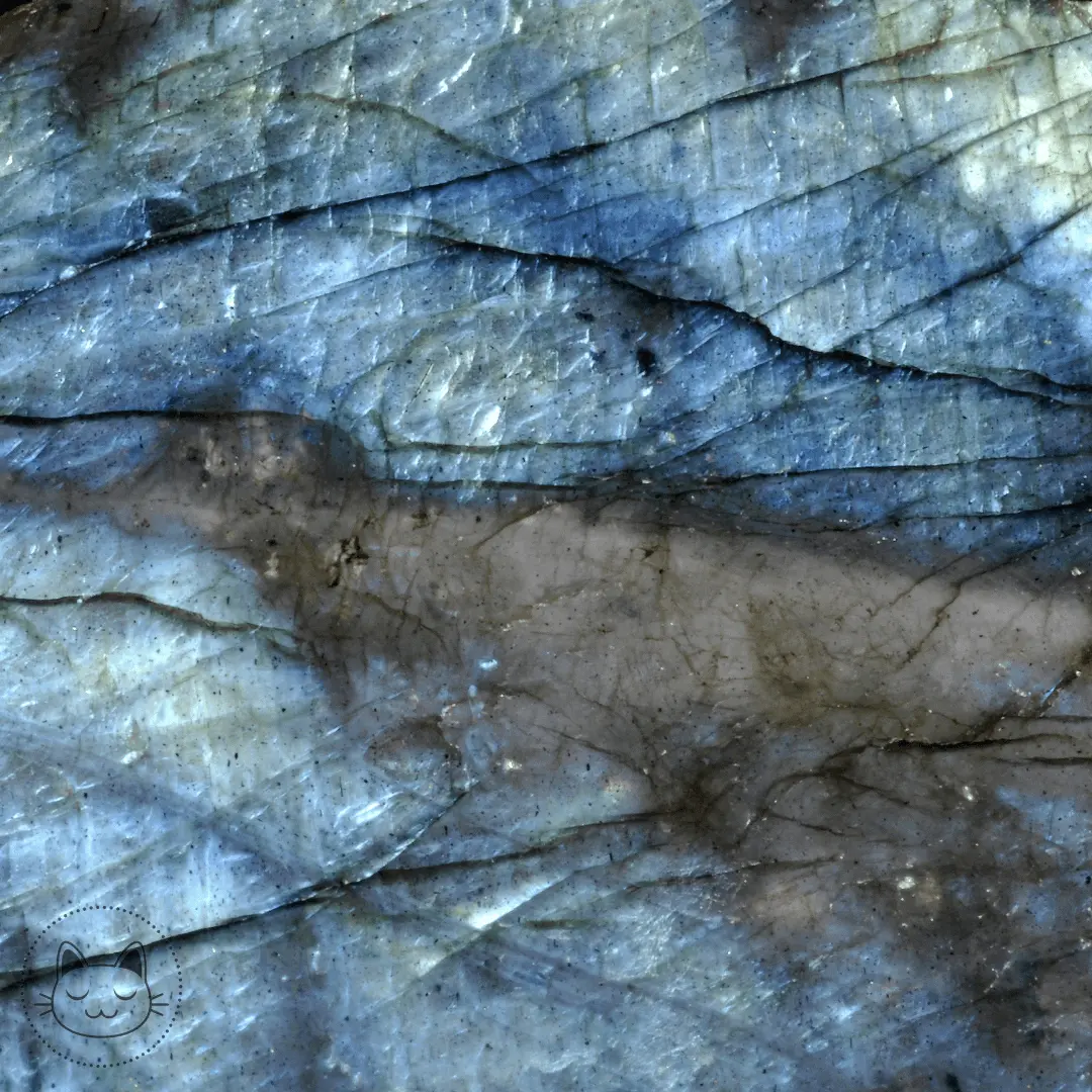 Naga - Plug - Labradorite - Kawaii Place piercing