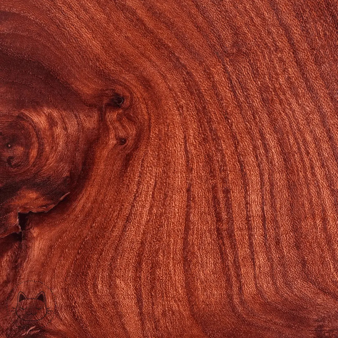 Naga - Tunnel - Bois de Rose (Rosewood) - Kawaii Place piercing