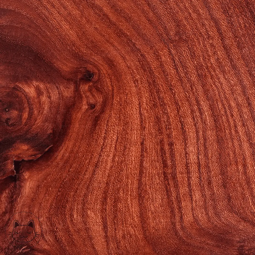 Naga - Tunnel - Bois de Rose (Rosewood) - Kawaii Place piercing