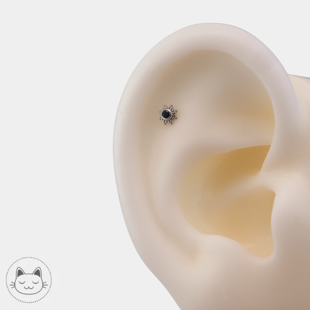 Naga Galileo saphir bleu pour helix et tragus