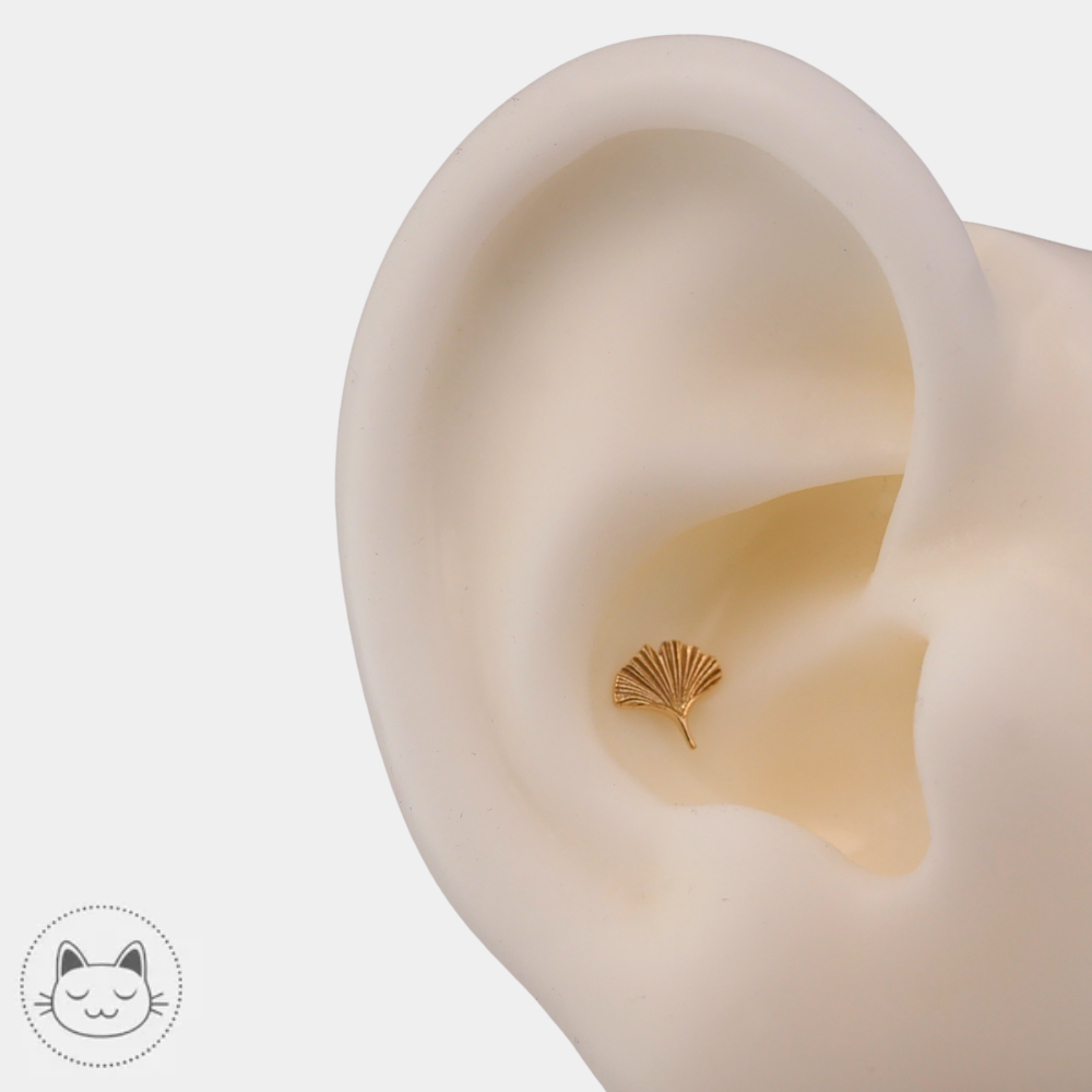 Bijou piercing feuille de ginkgo Naga Gingko en or jaune 14 carats porté au conch