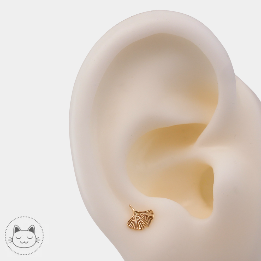 Bijou piercing Naga Gingko en or jaune 14 carats porté au lobe
