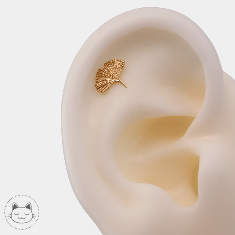 Bijou piercing Naga Gingko en or jaune 14 carats porté à l’hélix