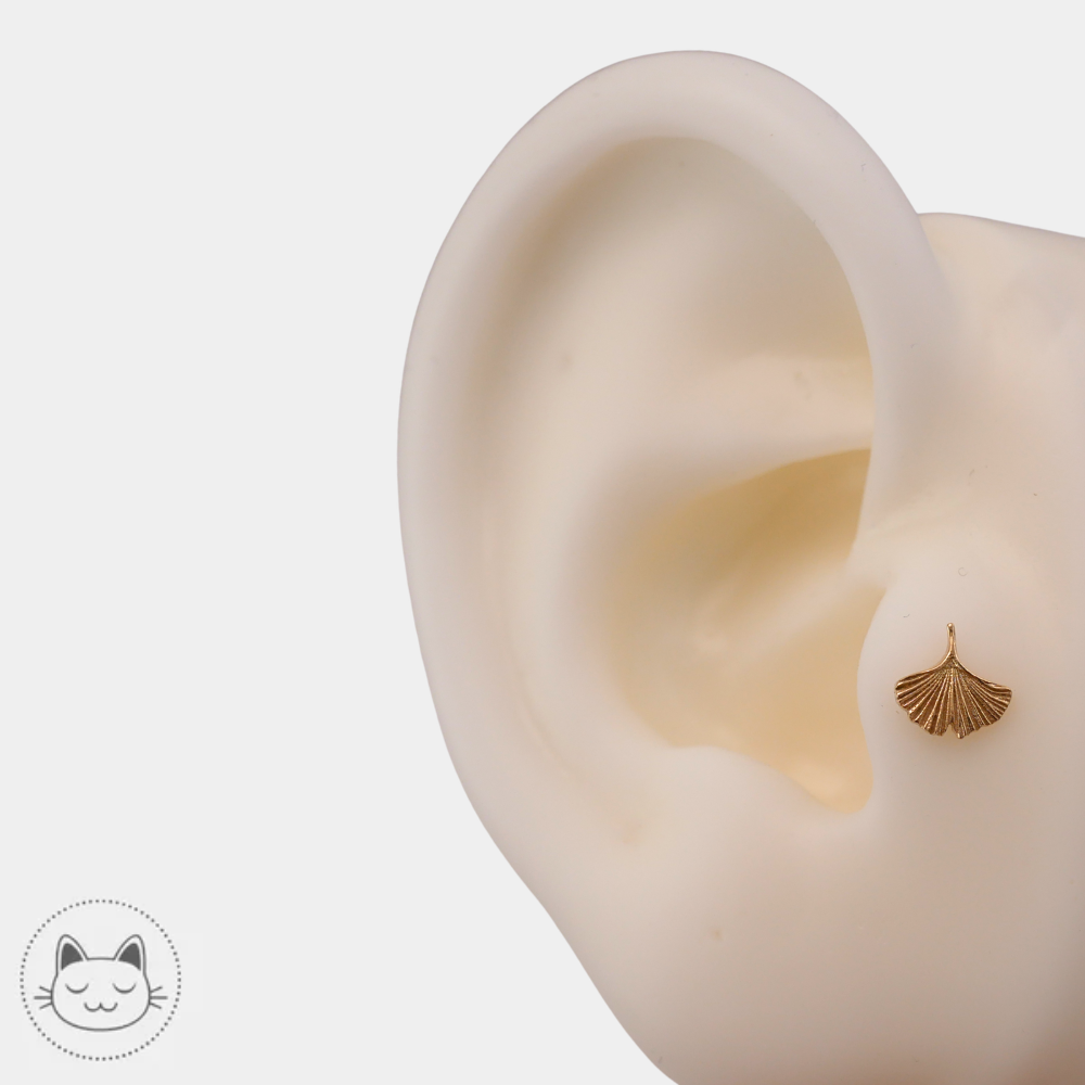 Bijou piercing Naga Gingko en or jaune 14 carats porté au tragus