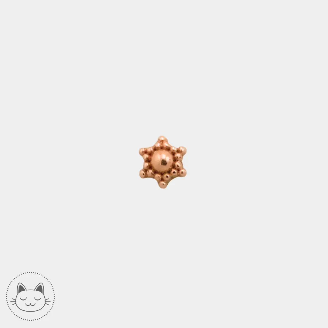Naga Jewelry - Solstice - Or 14 carats
Cabochon étoile threadless en or rose, 14 carats, 3 mm.