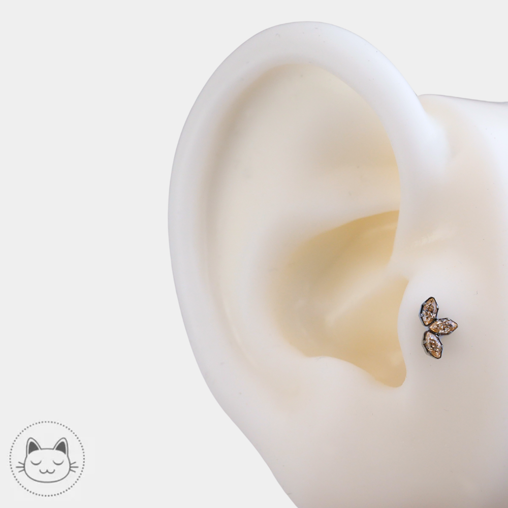 bijou piercing titane zircon champagne neometal marquise porté tragus oreille