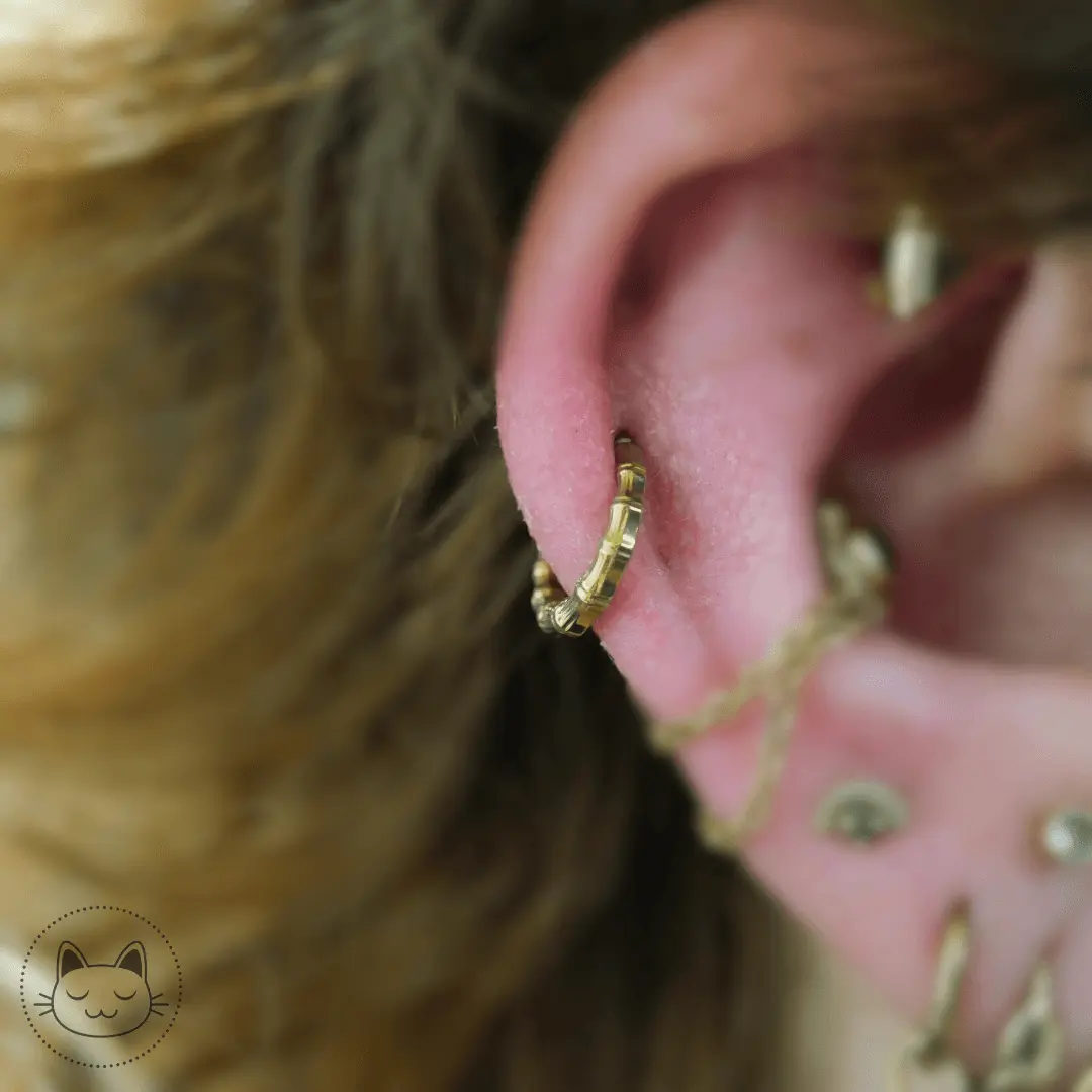 Anneau - Titane effet bambou - Kawaii Place piercing