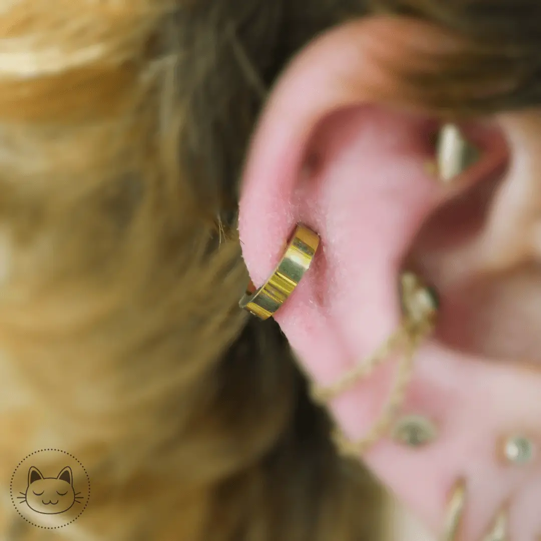 Anneau Titane - Massif - Kawaii Place piercing