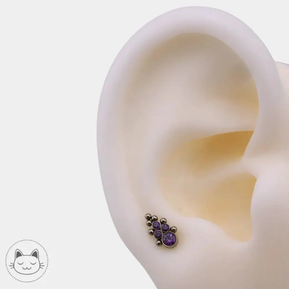 Piercing en titane ASTM F136 avec zircon violet LeRoi