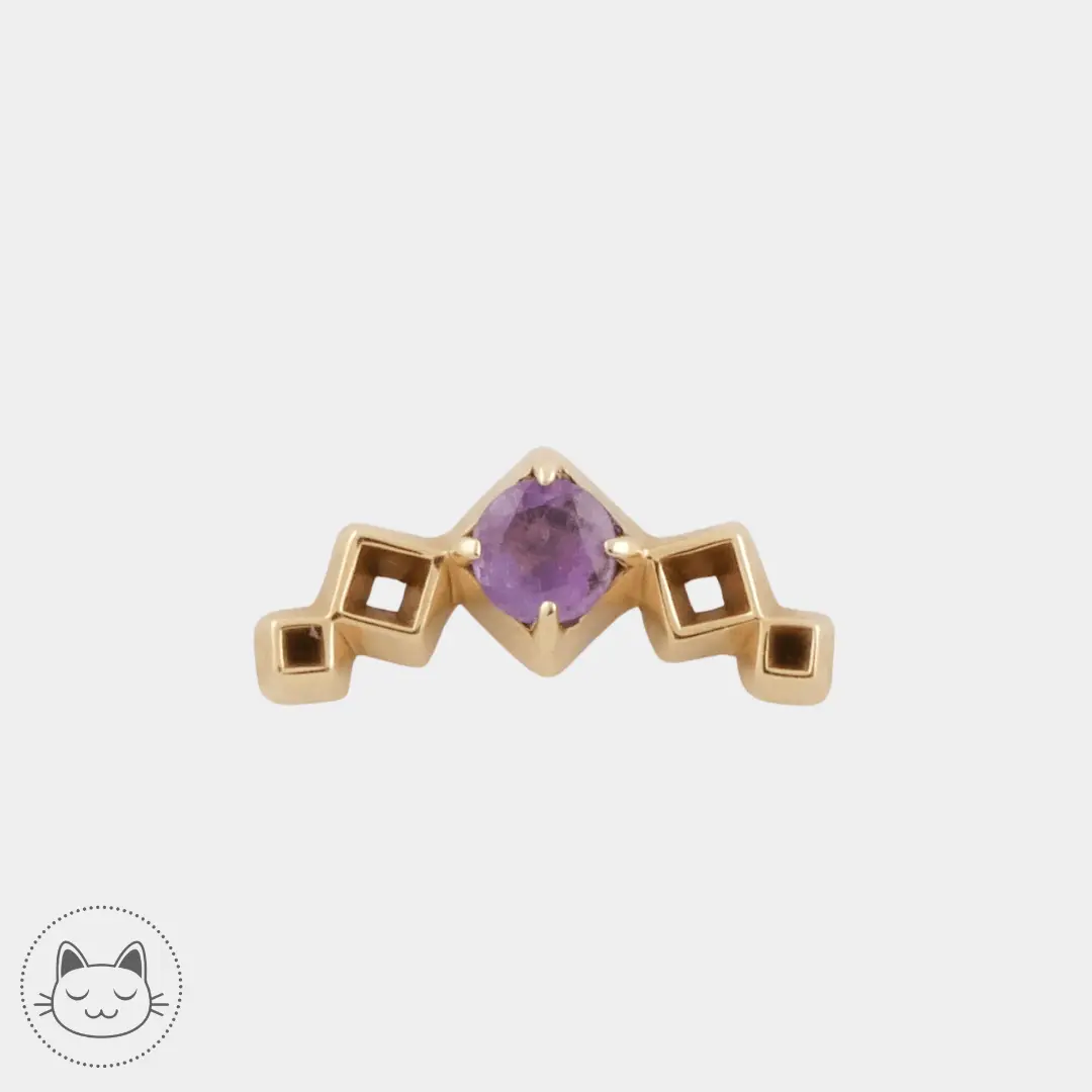 Sacred Symbols - D15 - Améthyste
Bijou en or 14 carats, 11,5 mm, Améthyste.