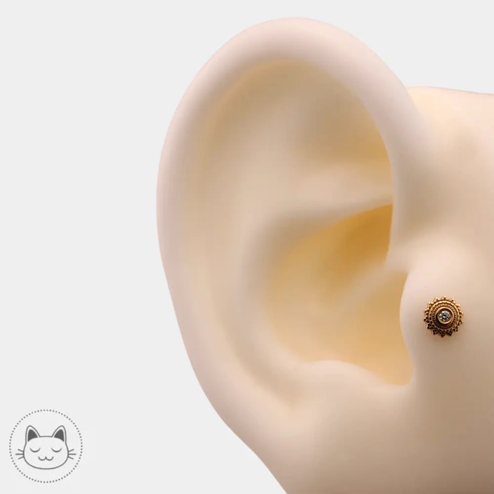 BVLA - Afghan - Diamant blanc & Or jaune - Kawaii Place piercing