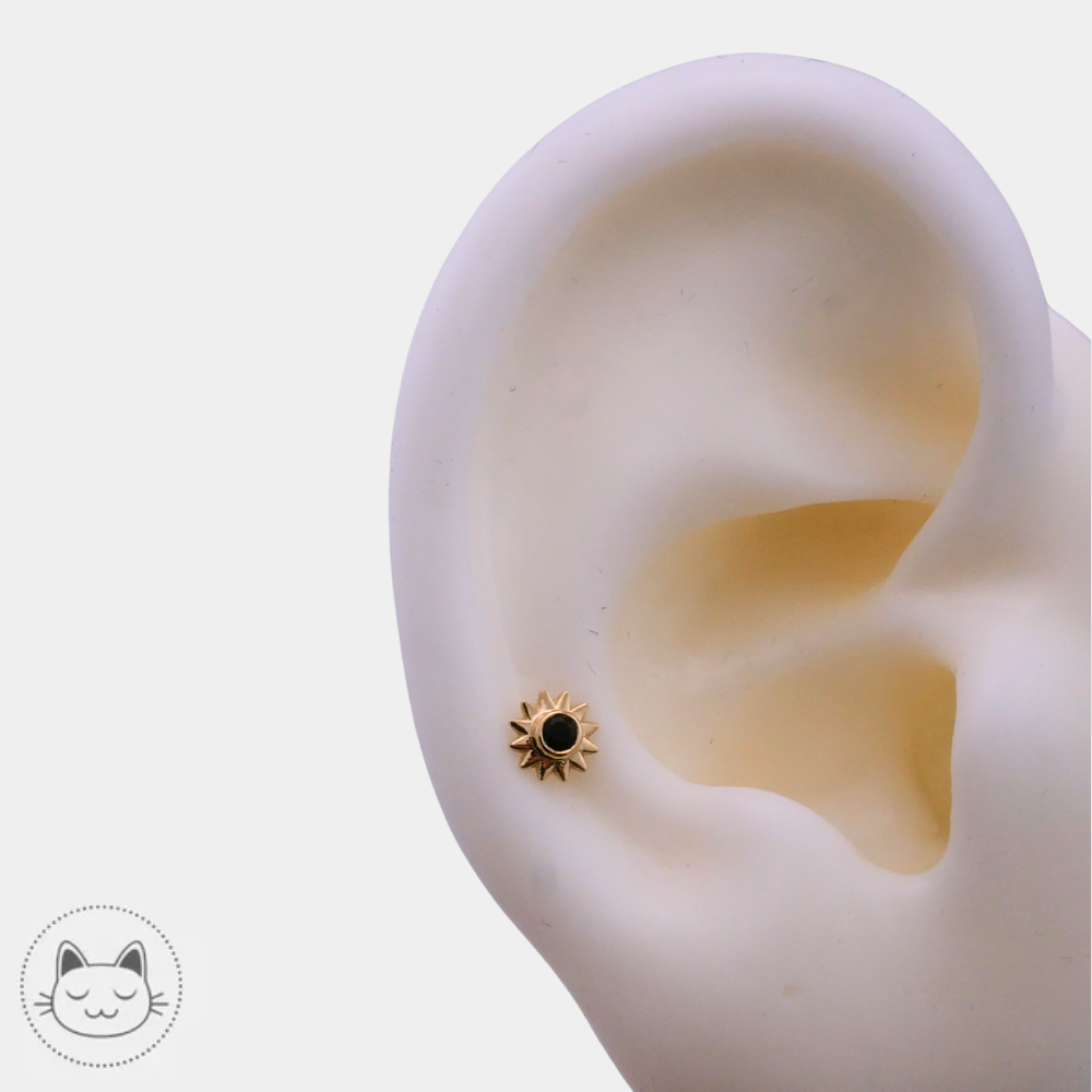 Détail du BVLA Sun or 14k onyx facetté