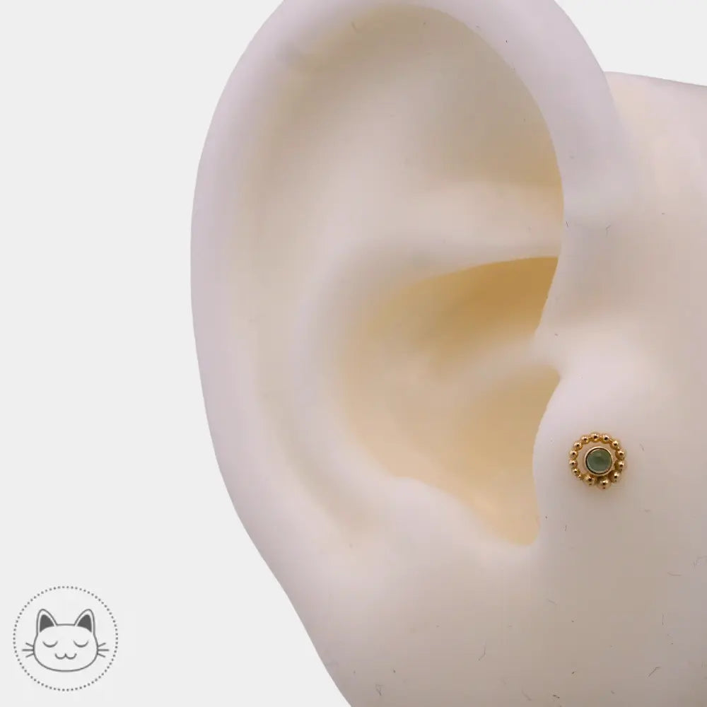 Piercing BVLA modèle Tiny Beaded Swirl or jaune chrysoprase