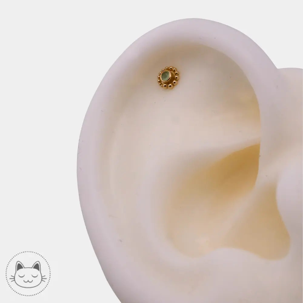 Piercing BVLA modèle Tiny Beaded Swirl or jaune chrysoprase