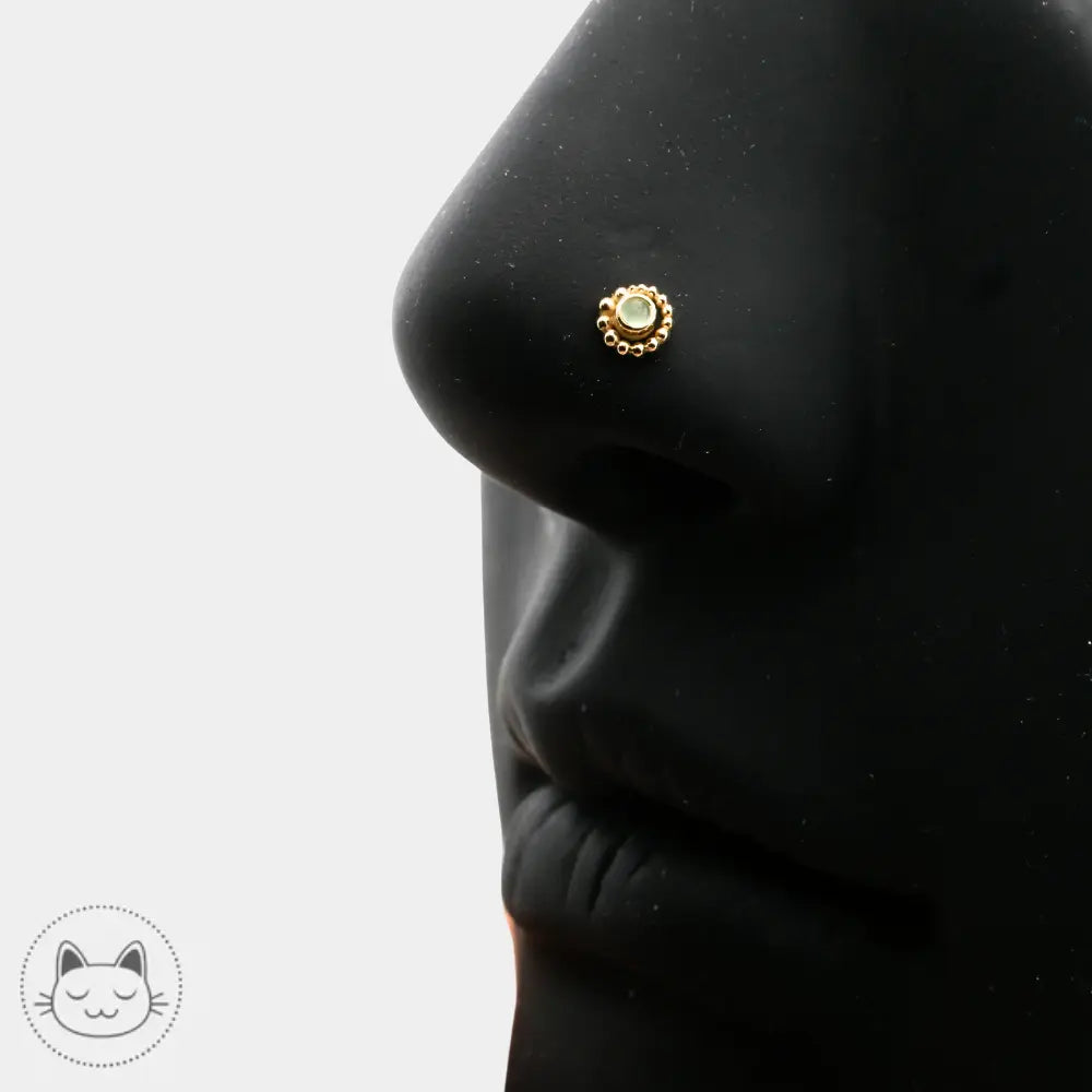 Piercing BVLA modèle Tiny Beaded Swirl or jaune chrysoprase