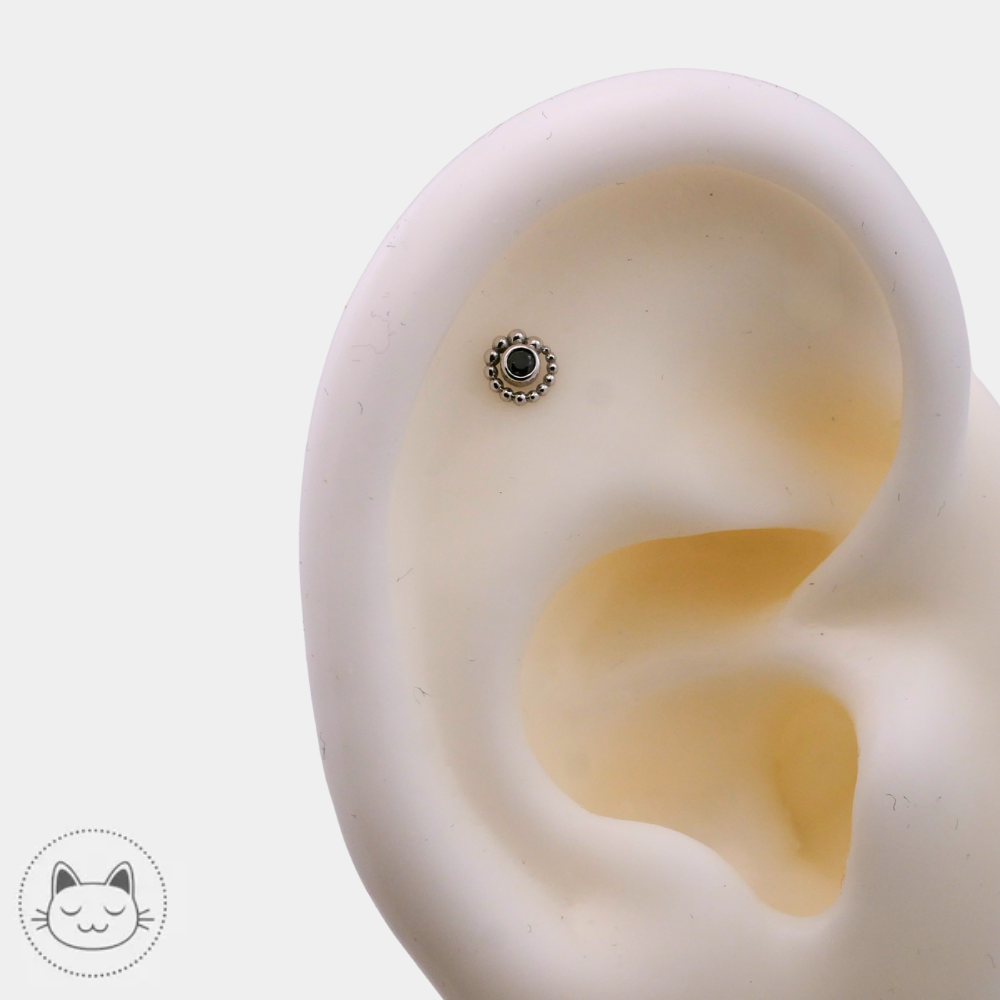 Piercing BVLA en or blanc avec diamant noir modèle Tiny Beaded Swirl