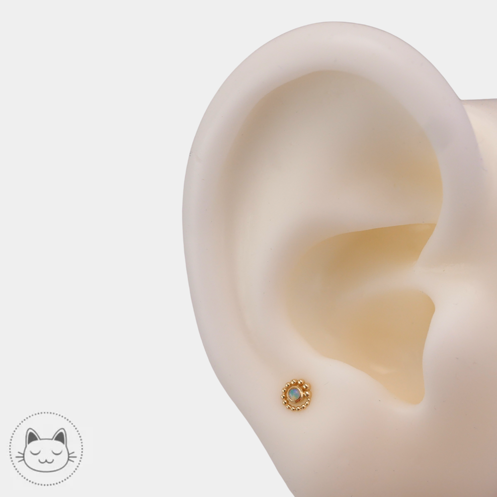 Piercing BVLA Tiny Beaded Swirl pour medusa et nostril