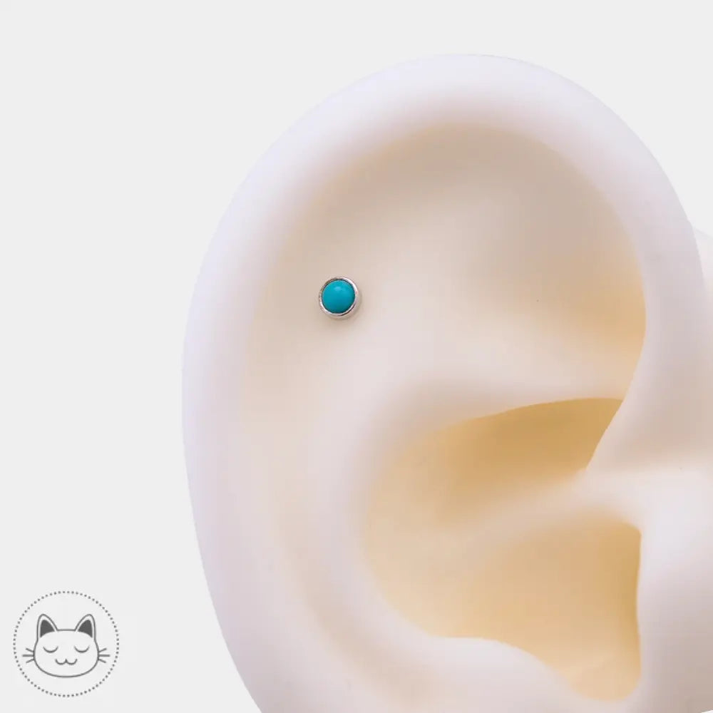 Modèle BVLA or blanc 14K turquoise