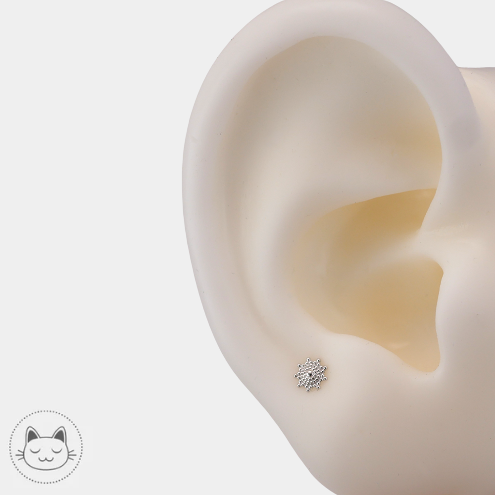 Piercing Naga Belladona en or blanc 14K pour tragus et conch chez Kawaii Place Lille