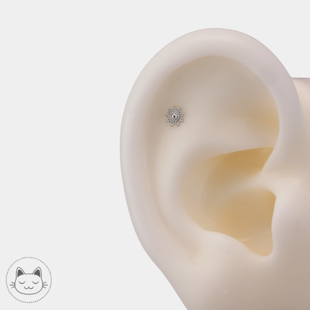 Bijou de piercing Naga Belladona pour tragus en or blanc disponible chez Kawaii Place Lille