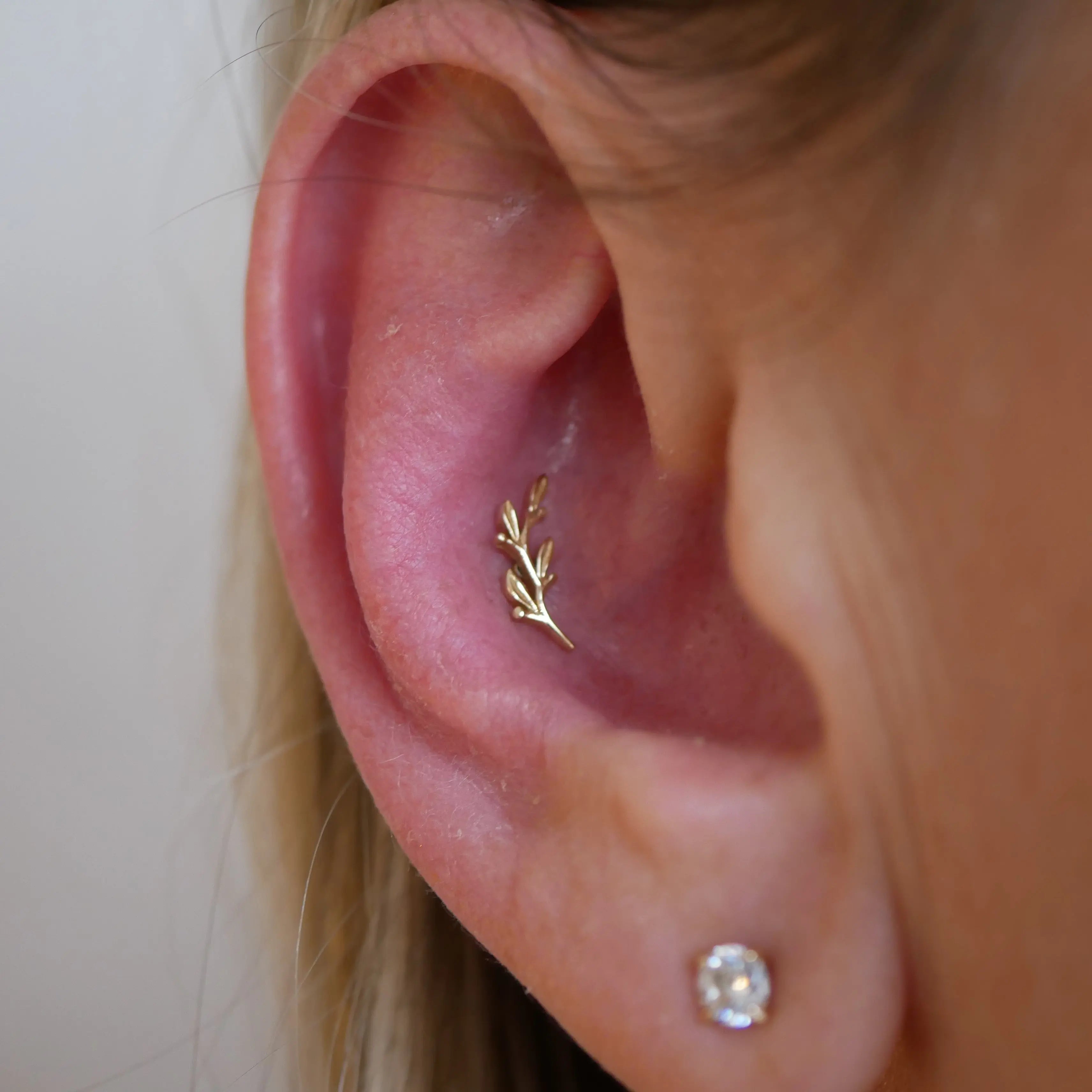 BVLA - Amity (Grande) Kawaii Place piercing