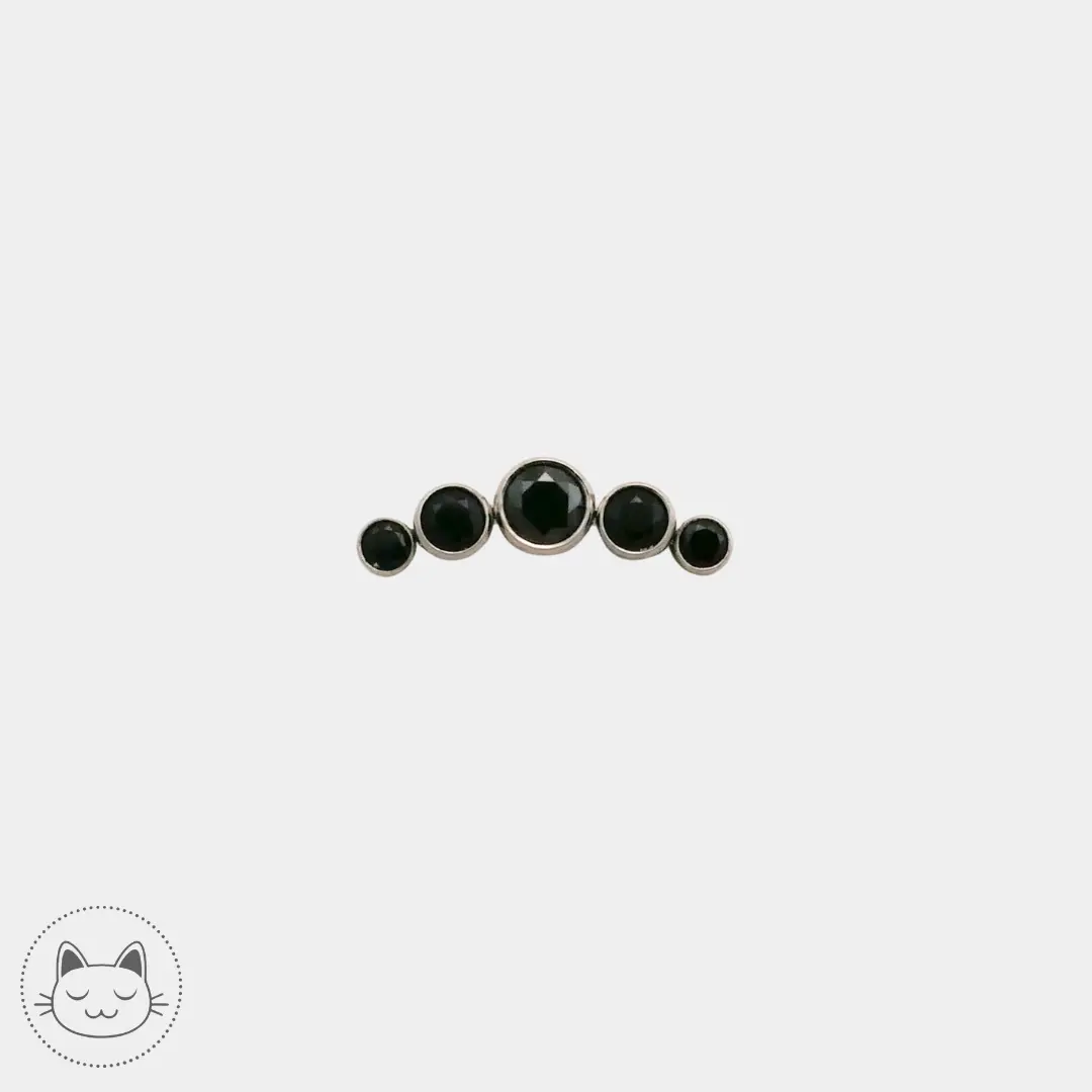 LeRoi 6T en titane orné de zircons noirs, pierres synthétiques prisées pour leur brillance discrète et leur rendu profond en bijou de piercing.