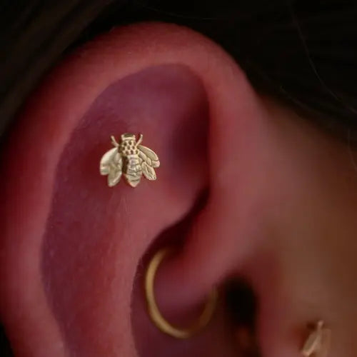 LeRoi - Bee - Abeille Kawaii Place piercing
